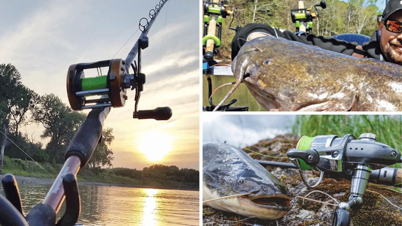 Catch Strongest Big Ones Discover the 5 Best Catfish Reels!