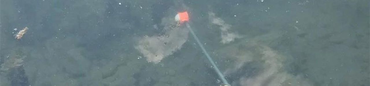 Golf Ball Retriever Under Water