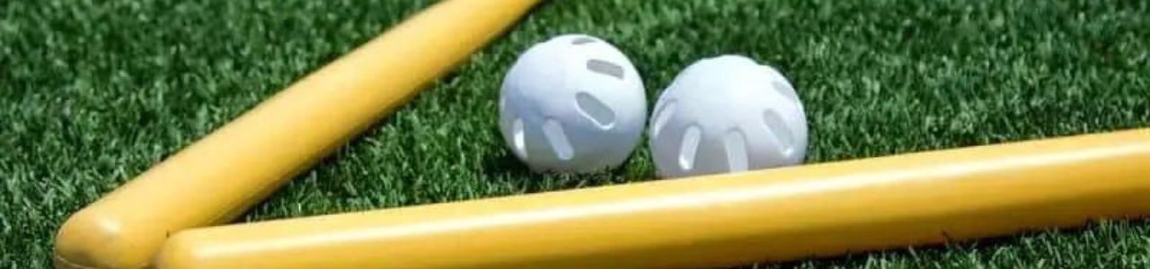 Wiffle Ball and Bat