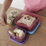 Sandwich Container