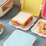 Sandwich Container