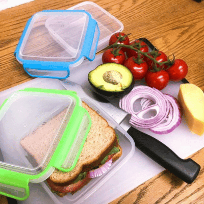 Snap Fresh Sandwich Containers
