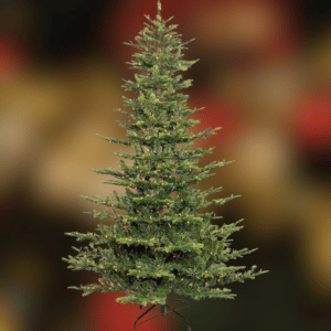 Puleo 6.5-Foot Pre-lit Aspen Fir