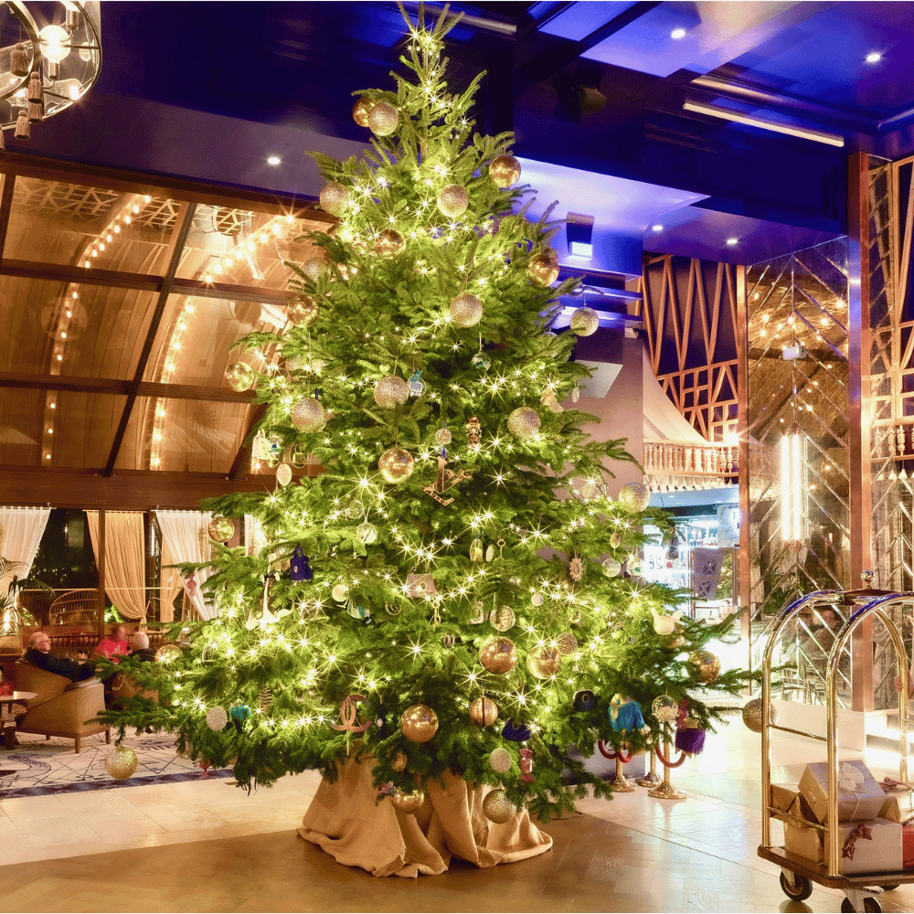 Kempinski Hotel tree