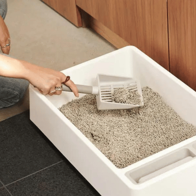 Person scooping a tofu cat litter tray