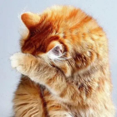 Kitty shying away from litter box odor