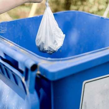 Cat litter bag being disposed of in trash can