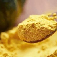 Ladle of pumpkin protein powder