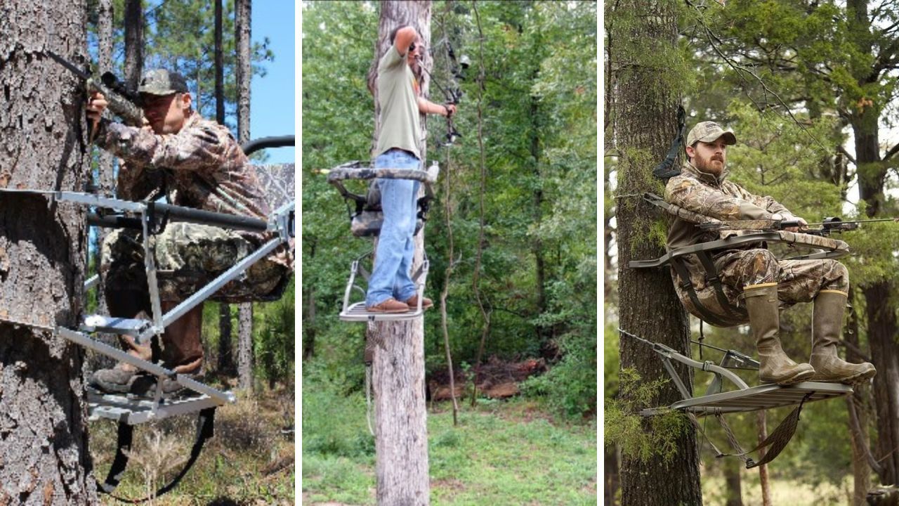 Climbing Tree Stand