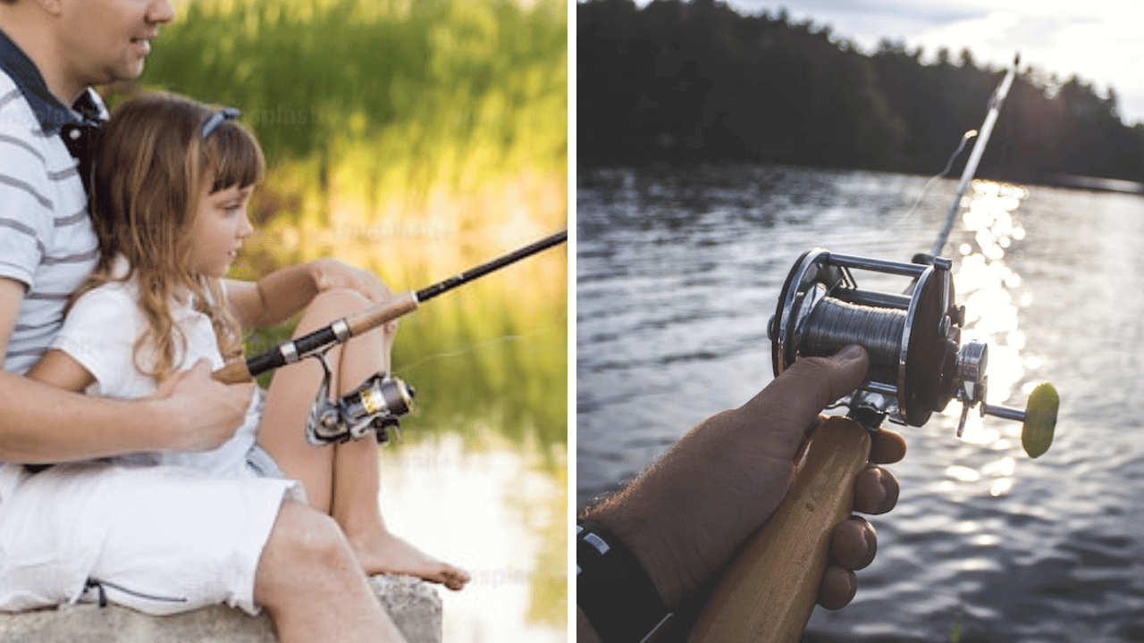Spinning and Baitcasting Reels