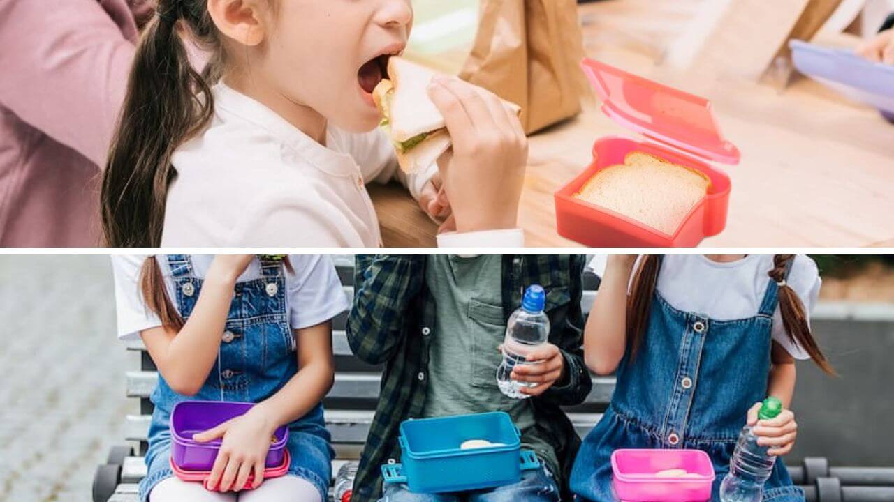 Sandwich Container