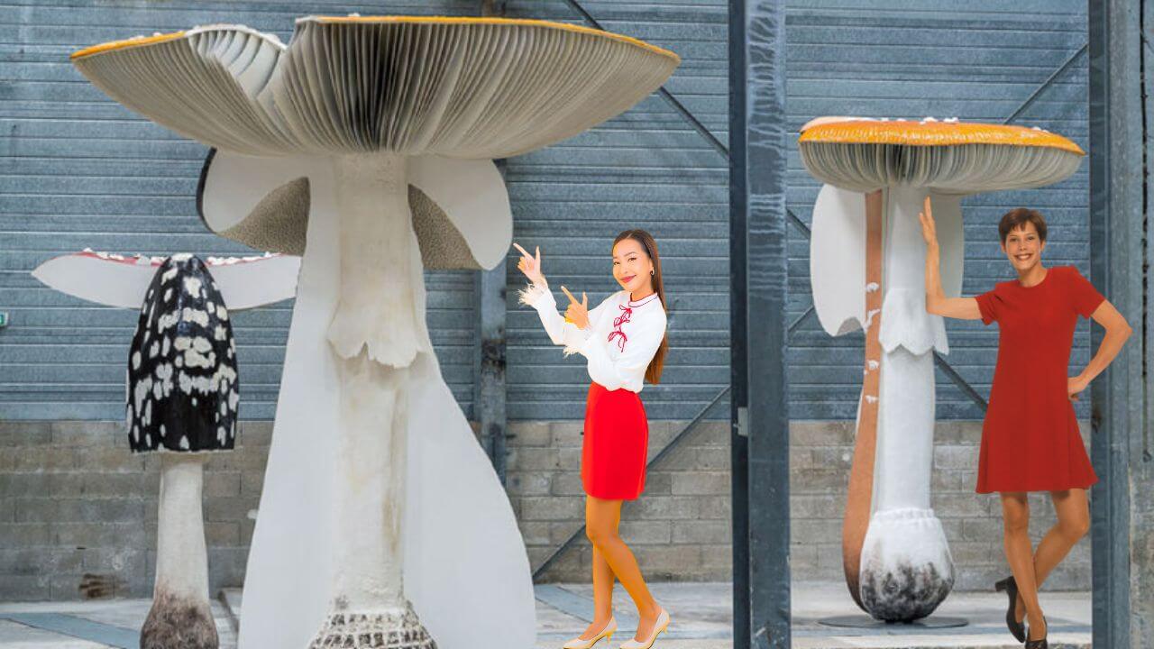 Two Women Appreciating Mushroom Art