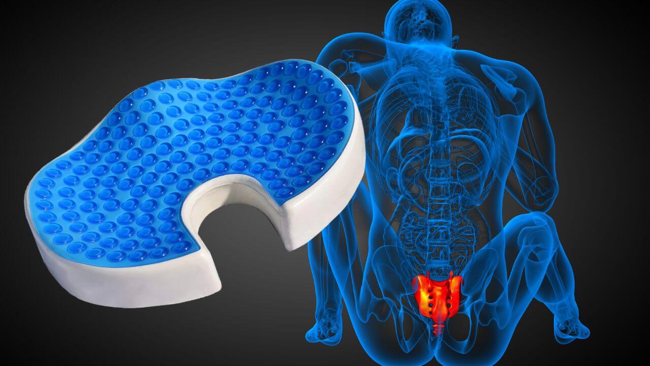 Coccyx cushion next to skeleton showing inflamed coccyx