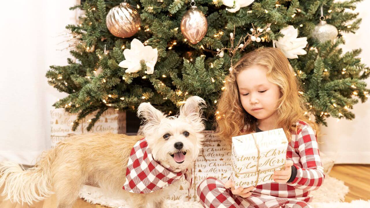 Girl with her dog in front of a Balsam Hill Christmas tree