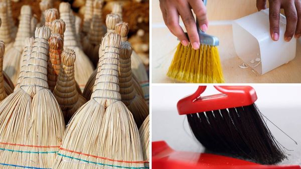 The Best Whisk Broom: 5 That Can Make Your Life Easier Every Day