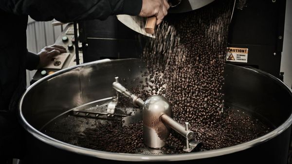 What Coffee Is Best As A Dark Roast? Exclusive Eye-Opening Report