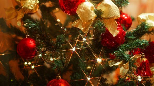 What is the Most Realistic Artificial Christmas Tree? Huge Revelation