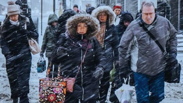 What Are the Best Gloves for Extreme Cold Weather? A Fascinating Guide