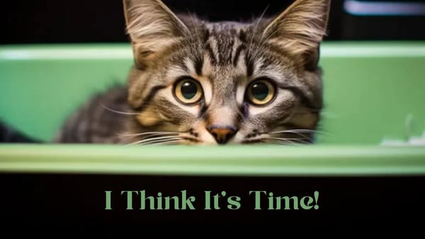 How Often Should You Change Tofu Cat Litter? Our Useful Guide