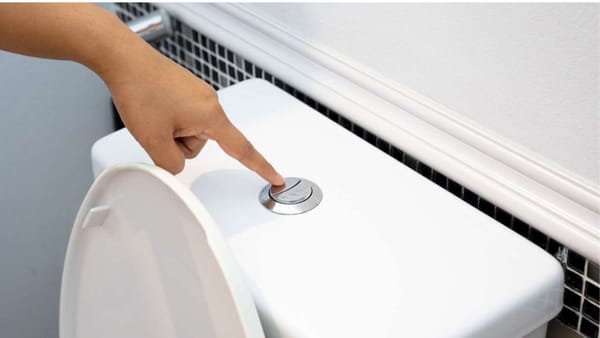 Can I Flush Tofu Litter Down the Toilet? The Ultimate Hygienic Guide!