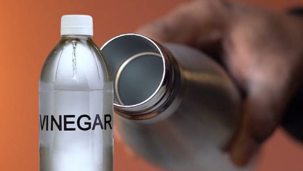 Can Bacteria Grow in Stainless Steel Water Bottles? Know The Shocking Truth!