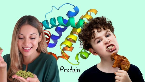 Do Pumpkin Seeds Have More Protein than Chicken? A New Overlooked Powerhouse!
